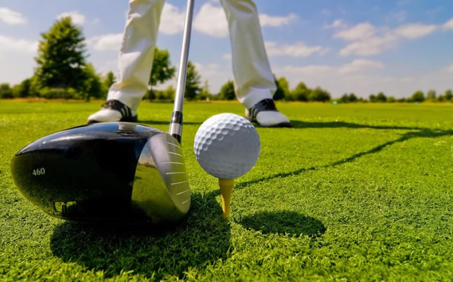 El Golfista .Net